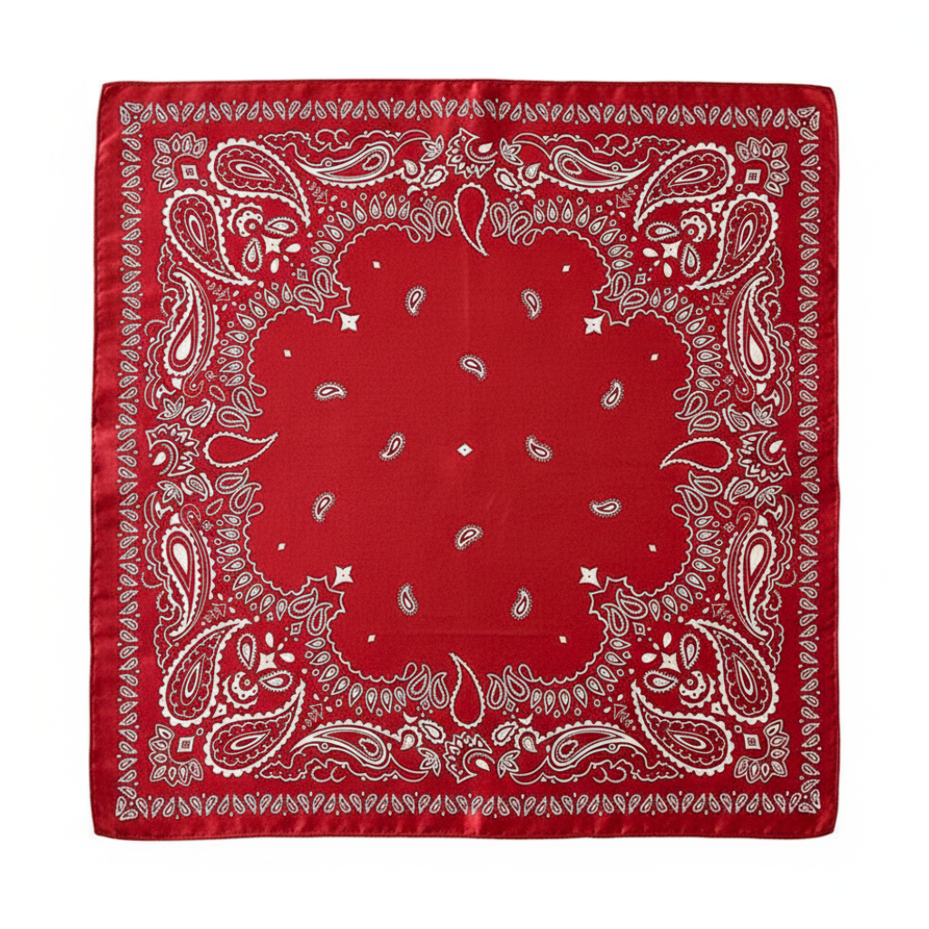 Foulard carré de soie 50 - L'Esprit Rebelle