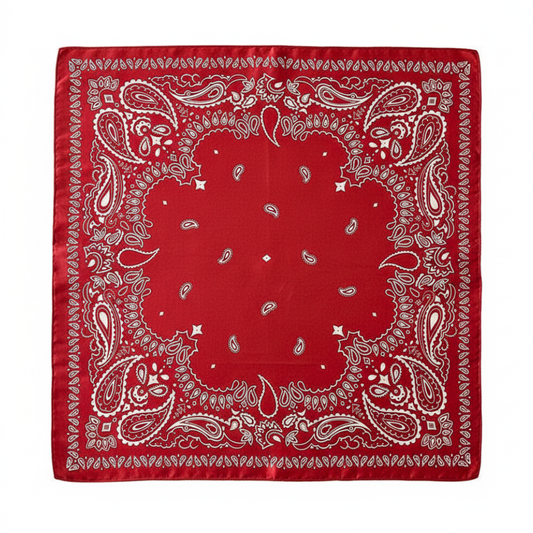 Foulard carré de soie 50 - L'Esprit Rebelle